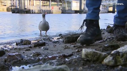 A caccia di tesori sulle sponde del Tamigi