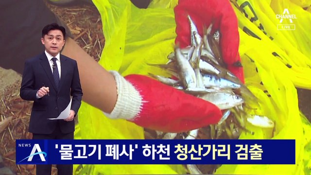 [단독]‘물고기 폐사’ 하천, 청산가리 검출…지역 주민 불안