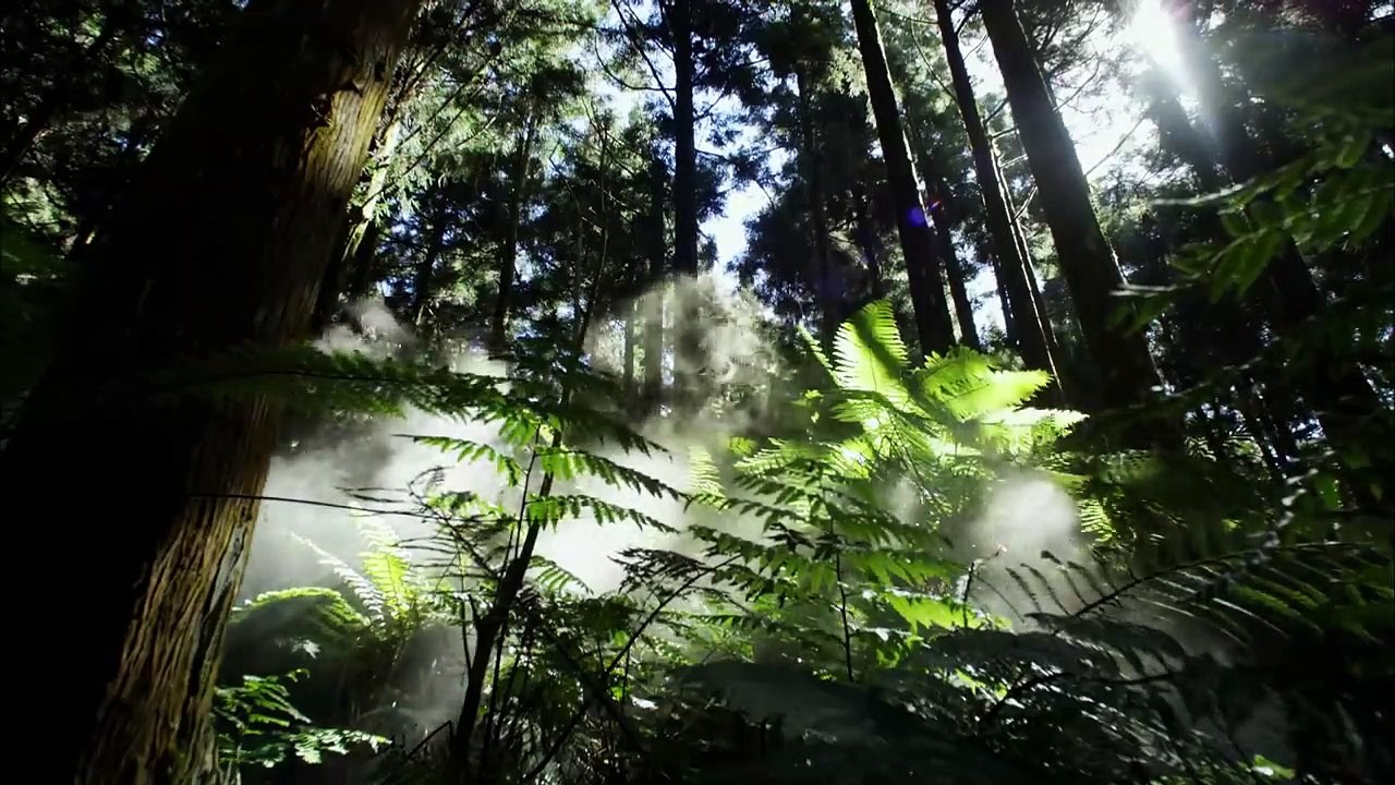 สารคดี ภูเขาไฟ A Volcano Odyssey | Documentary