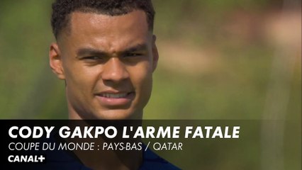 Gakpo, en attendant Memphis Depay - Coupe du Monde : Pays-Bas / Qatar