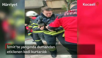Dumandan etkilenen kedi kurtarıldı