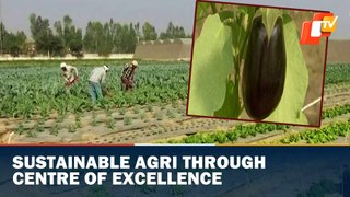 Israel Showcases Centre Of Excellence For Agriculture In Karnal, Haryana