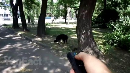 15 Coolest Inventions That Are Worth Buying