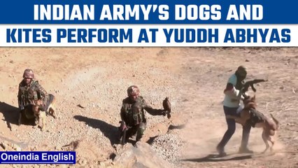 Yuddh Abhyas 2022: Watch Indian army dogs and kites perform | Oneindia News *News