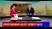 Görüntüler infial yaratmıştı! İstanbul Sarıyer'de köpeği boğmaya çalışan saldırgan tutuklandı