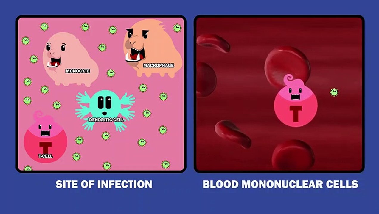 HIV Pathophysiology (3-3) - Disease Progression_HIGH | AIDS || HIV || Pathophysiology || #youtube #shorts