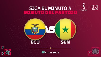 Ecuador vs. Países Bajos en Vivo: Sigue el Partido en Tiempo Real ⚽