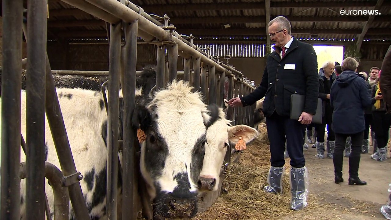 Preisanstieg bei Düngemitteln bedroht Lebensmittelversorgung