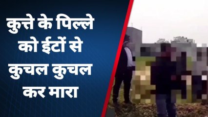 Tải video: बदायूं: चूहे के बाद अब कुत्ते के पिल्ले की हत्या, बच्चें को काटा तो पिता ने पत्थरों से कुचला