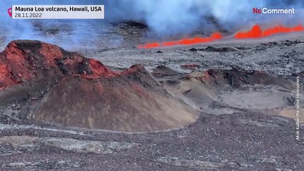 [No Comment] Le réveil du géant hawaïen, le plus grand volcan actif du monde, Mauna Loa