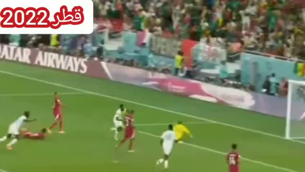 السنغال  ضد الإكوادور   الان-صفر2