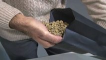 Silverskin del caffè Trucillo diventa 'oro' per agricoltura bio