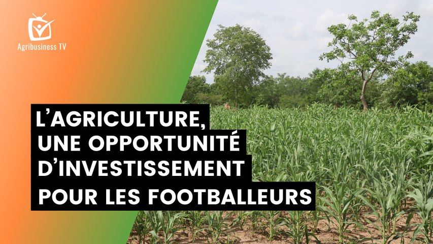 Burkina Faso : L’agriculture, une opportunité d’investissement pour les footballeurs