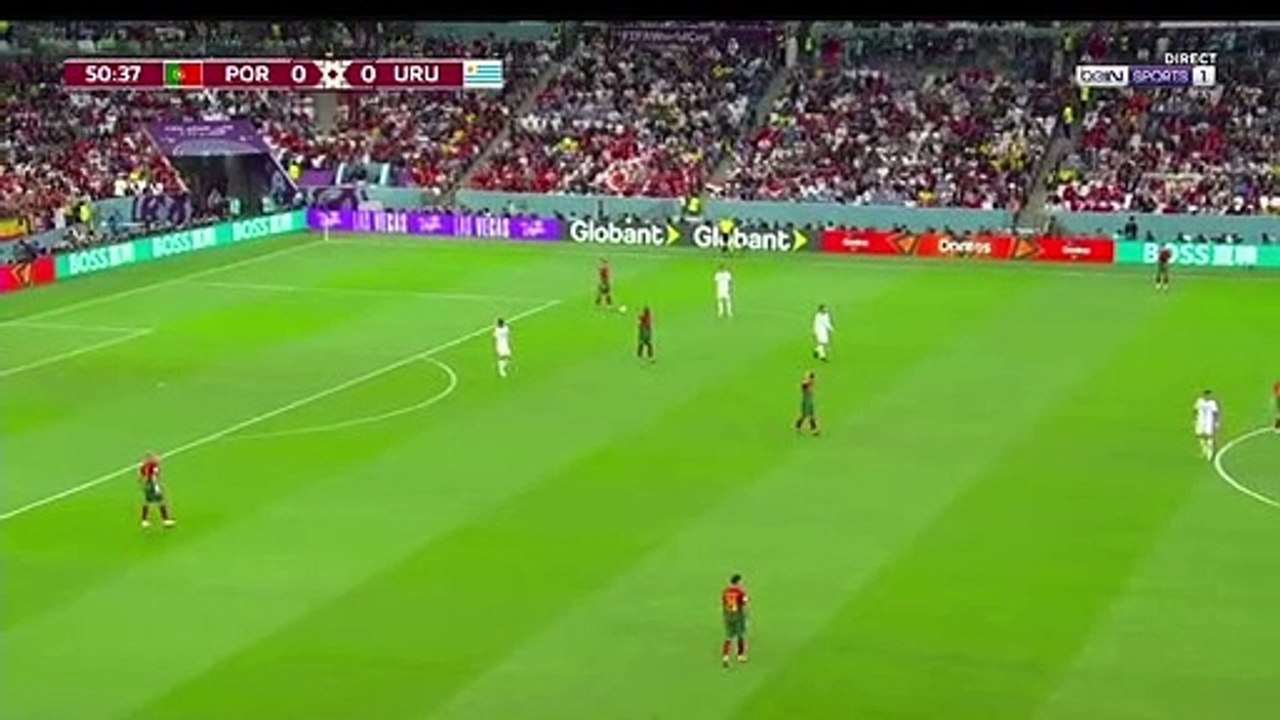 Pitch invader with an LGBT flag (Portugal vs Uruguay)