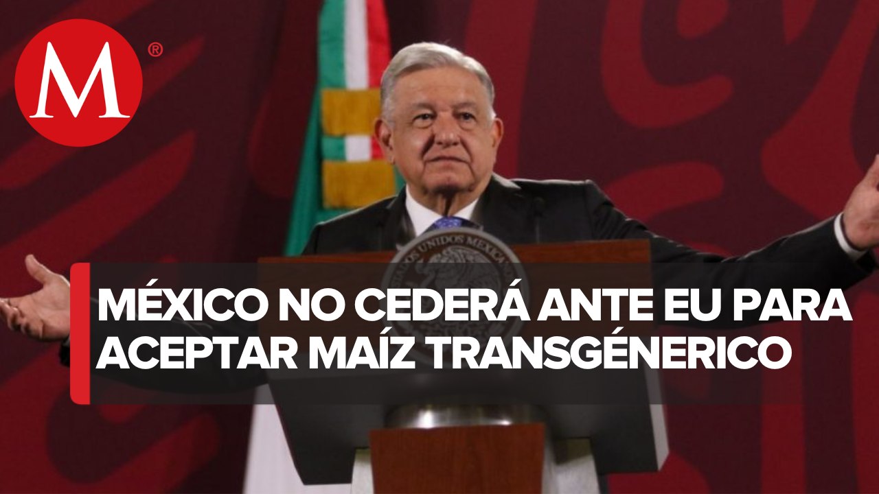 Si no hay acuerdo sobre maíz transgénico, que se acuda a paneles del T-MEC: AMLO
