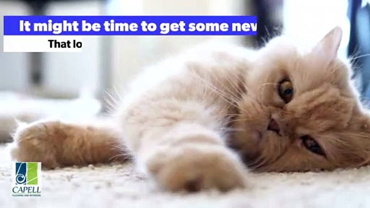 Puurfect Floors - New Floors in Boise Idaho #capellflooring #boiseidaho #boisefloors