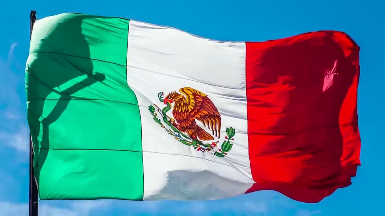 The Best of Eagle Attacks - Most Amazing Moments of Wild Animal Fights! (2)