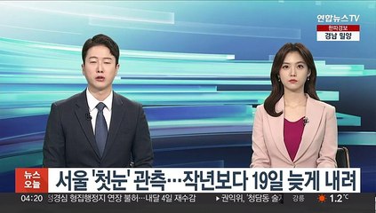 서울 '첫눈' 관측…작년보다 19일 늦게 내려