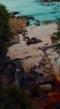 Sydney Beach Cliff Dive Drone View. So Chill.  Drone Travel Adventures Australia.