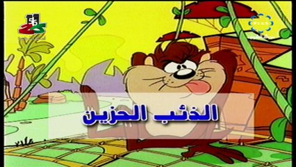 تاز المشاكس والذئب الحزين 🐺 | أفضل مسلسلات الكرتون المدبلجة والمترجمة