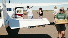 Chuditch release in Vulkathanha-Gammon Ranges, SA