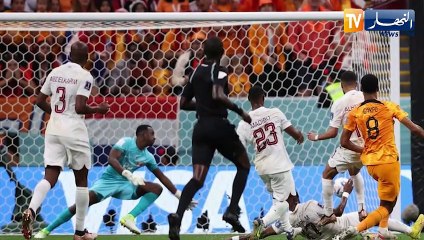 هولندا تلحق بقطر ثالث هزيمة وتتأهل في الصدارة