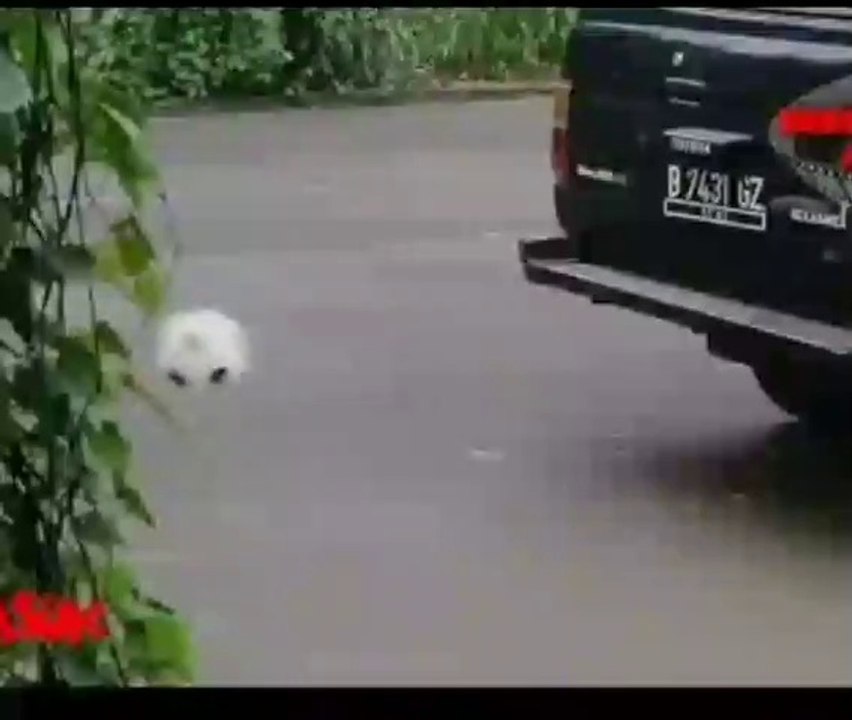 kocak abisss