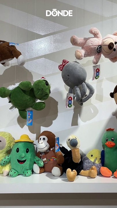 El "Museo de las Relaciones Rotas” llega a CDMX ¡Ya dile adiós a tu ex!