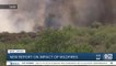 New report on impact of Arizona wildfires