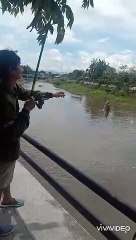 Ikan Babon spot Kali ndengkeng klaten