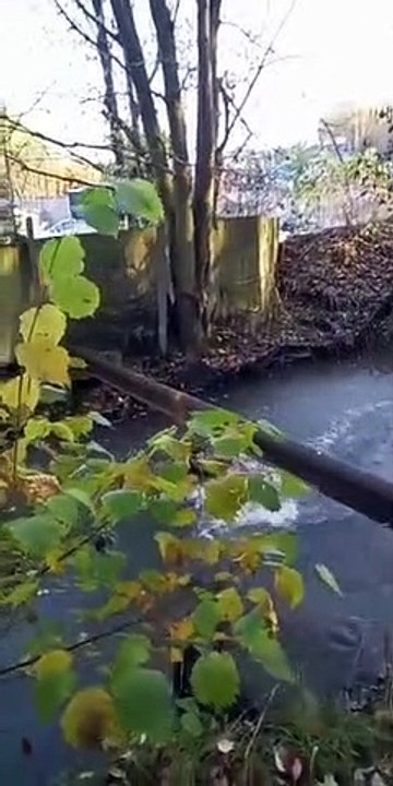 Guy Falls into Freezing Cold Water