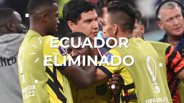Se acabó la ilusión para Ecuador - Qatarsis Futbolera