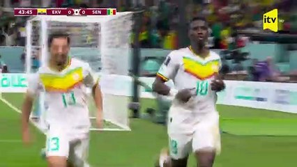Ecuador vs Senegal 1-2 Highlights  2022 FIFA World Cup