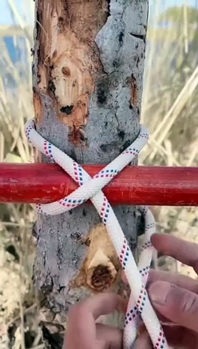 Name this knot model