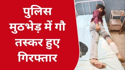 Download Video: सुलतानपुर: मुठभेड़ में तीन गौ तस्कर गिरफ्तार, अग्रिम कार्यवाही मे जुटी पुलिस