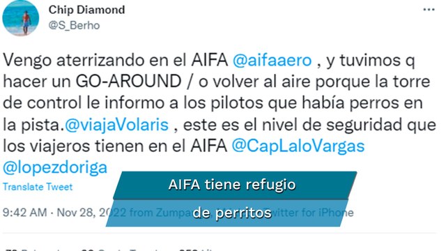 Perros impiden aterrizaje de avión de Volaris en el AIFA