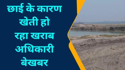 मुजफ्फरपुर: छाई के कारण खेती हो रहा खराब अधिकारी बेखबर, स्थानीय लोगों ने जताई नाराजगी