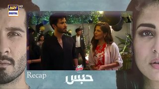 Habs Episode 30 - 29th November 2022  - ARY Digital Drama