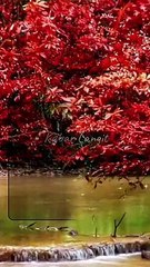 Nothing Is Permanent In This World, Including These Things