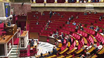 2ème séance : Protection des logements contre l’occupation illicite (suite) - Mardi 29 novembre 2022