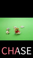 Spelling Practice. Clip No. 48