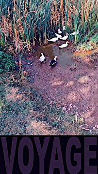 8 - MORVAN-SECRET ⁄ SAINT MARTIN DU PUY (en Bourgogne Franche-Comté)