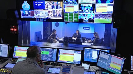 Corse : le séjour inhabituel des pingouins Torda au large de la Méditerranée