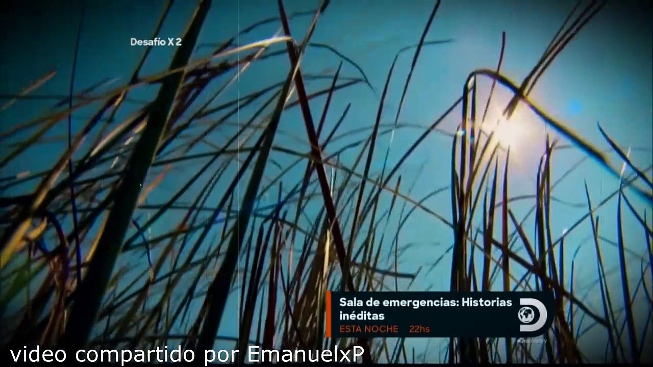 desafio x2 florida Everglades