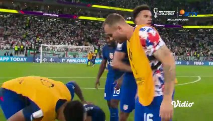 Hasil Akhir Pertandingan Iran vs USA _ FIFA World Cup Qatar 2022