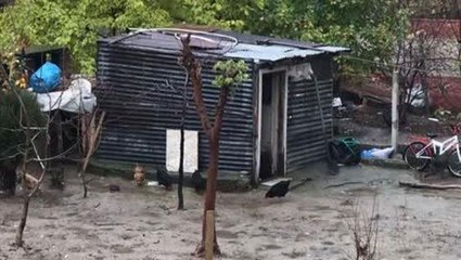 Kömürlüğe giren kadın, içerideki acı manzarayı görünce çığlık çığlığa dışarı kaçtı