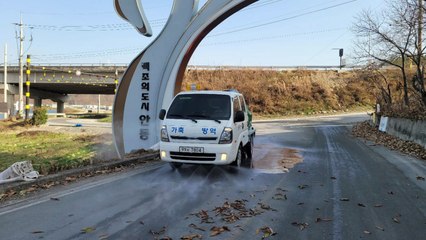 경북 안동 백조공원서 고병원성 AI 검출 / YTN