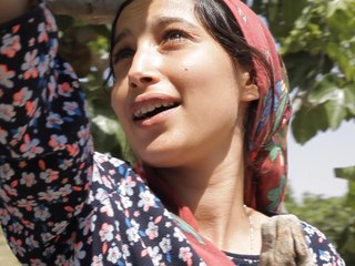 Taht el Karmouss (Sous les figues): Trailer HD VO st FR