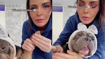 Cute & calm American Bully receives royal treatment as part of his winter routine