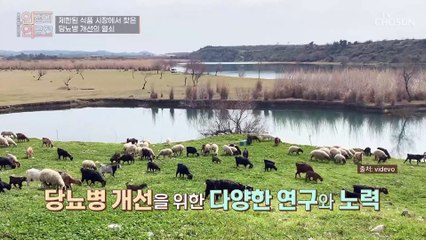 고혈당의 늪에서 벗어나는 비법 ✱흑염소 진액✱ TV CHOSUN 20221130 방송